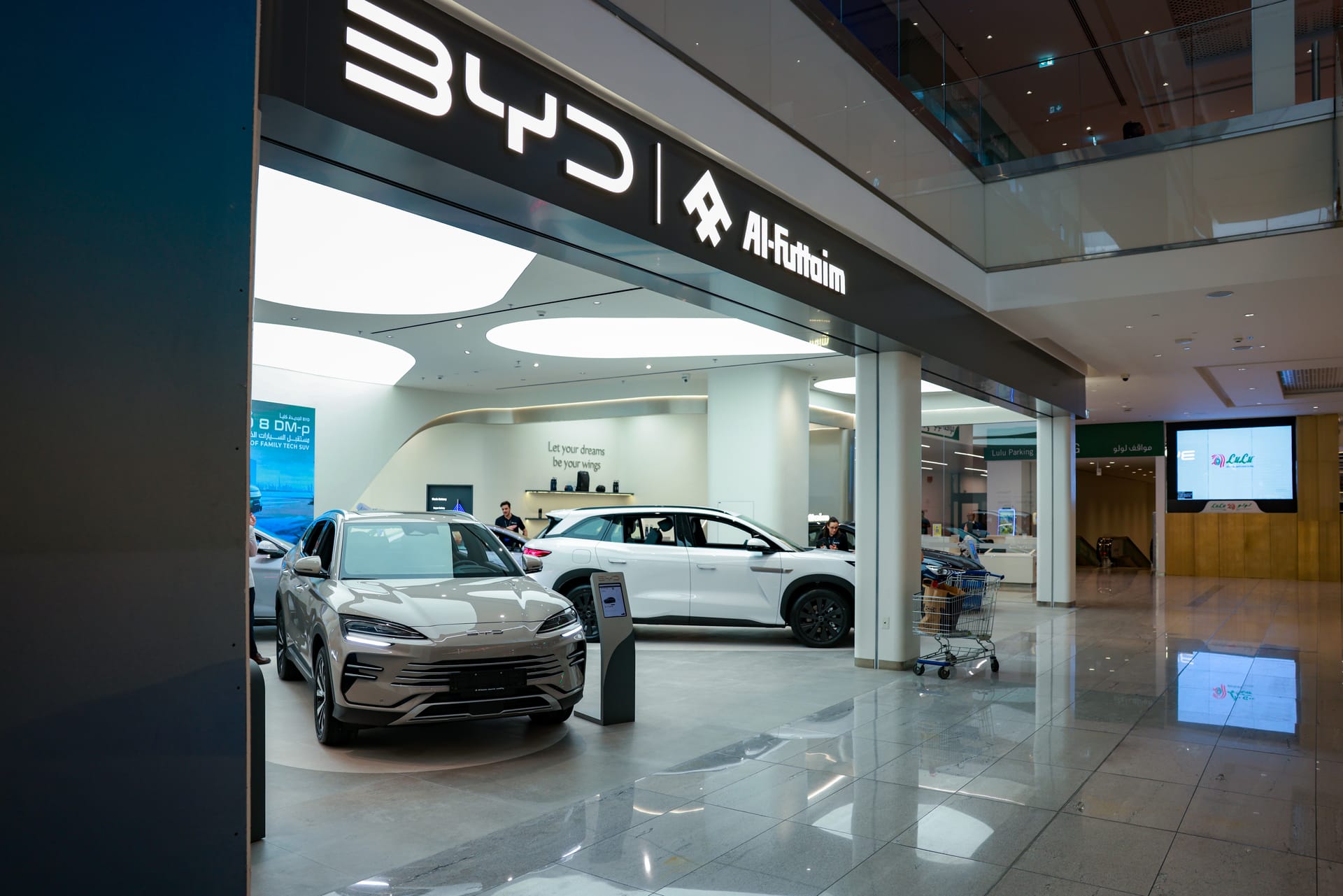 Build Your Dreams (BYD) project imagery 2